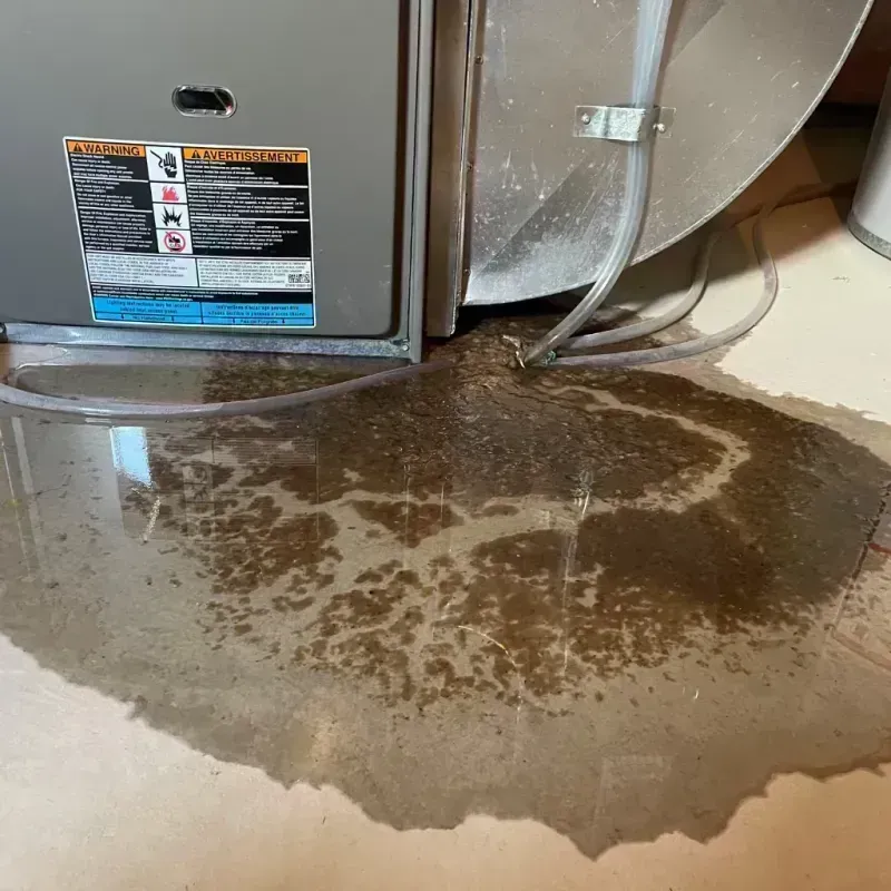 Appliance Leak Cleanup in Harristown, IL